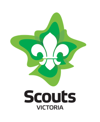 Scouts logo